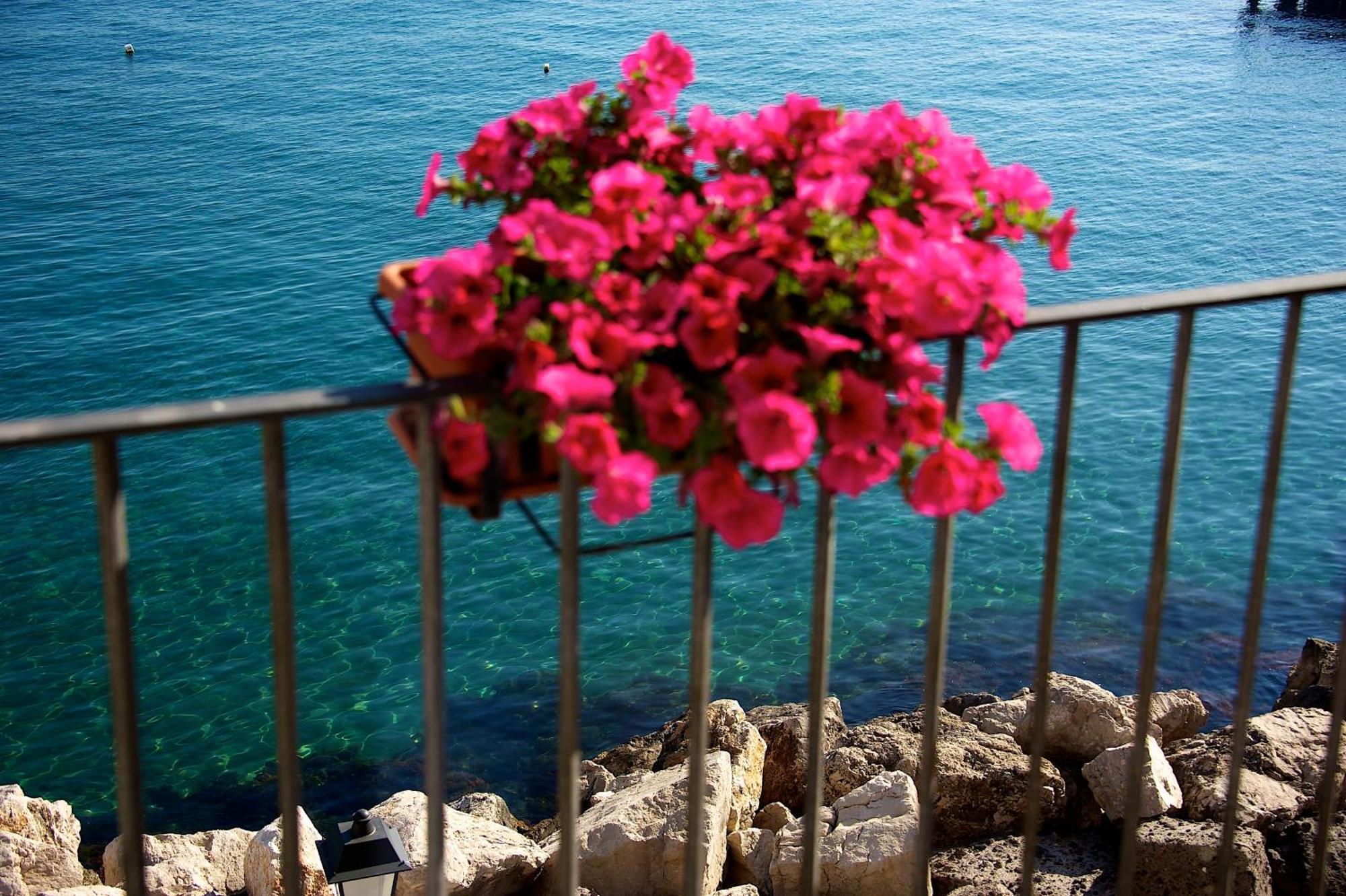 Villa Lieta Ischia Luaran gambar